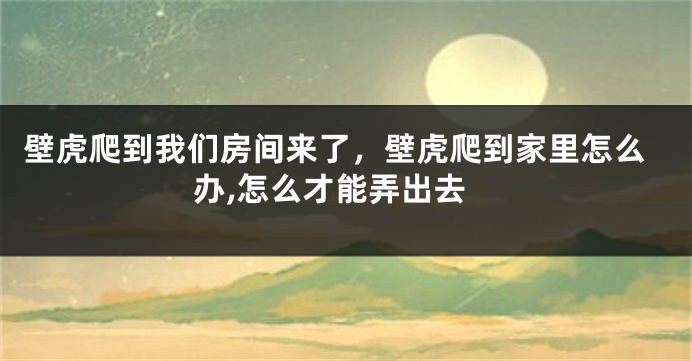 壁虎爬到我们房间来了，壁虎爬到家里怎么办,怎么才能弄出去