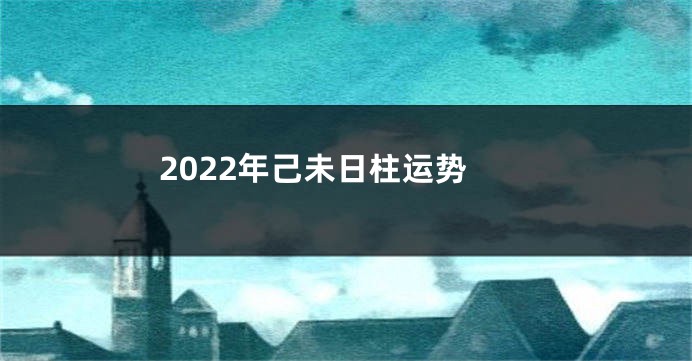 2022年己未日柱运势