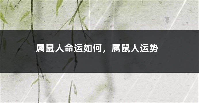 属鼠人命运如何，属鼠人运势