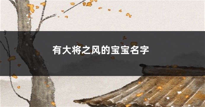 有大将之风的宝宝名字