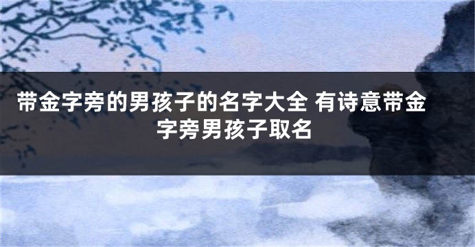 带金字旁的男孩子的名字大全 有诗意带金字旁男孩子取名