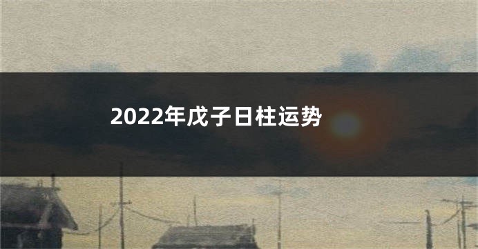 2022年戊子日柱运势