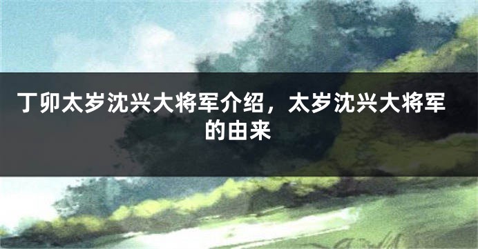 丁卯太岁沈兴大将军介绍，太岁沈兴大将军的由来