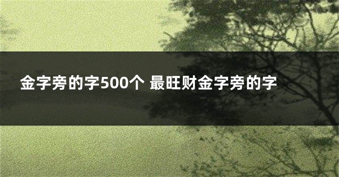 金字旁的字500个 最旺财金字旁的字