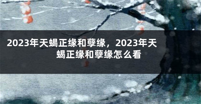 2023年天蝎正缘和孽缘，2023年天蝎正缘和孽缘怎么看