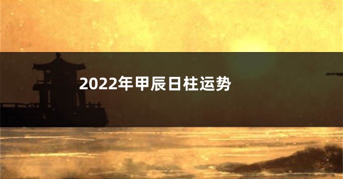 2022年甲辰日柱运势