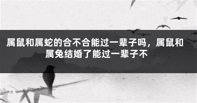 属鼠和属蛇的合不合能过一辈子吗，属鼠和属兔结婚了能过一辈子不