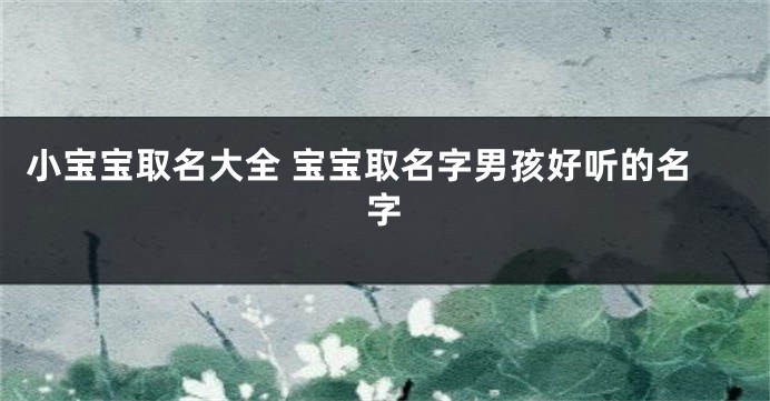 小宝宝取名大全 宝宝取名字男孩好听的名字