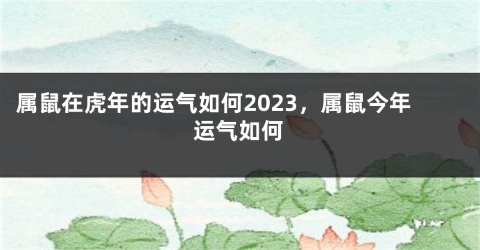 属鼠在虎年的运气如何2023，属鼠今年运气如何