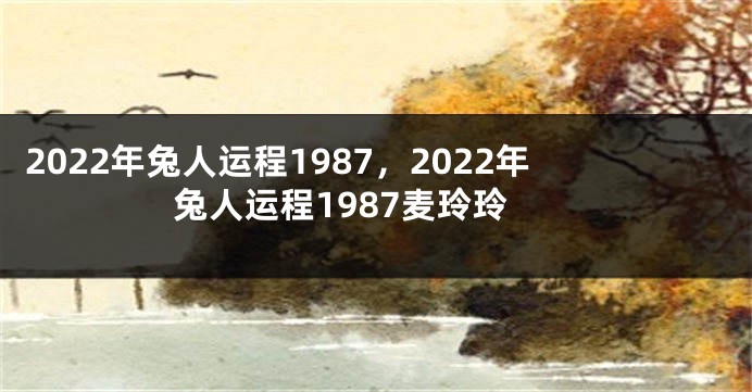 2022年兔人运程1987，2022年兔人运程1987麦玲玲