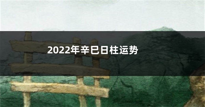 2022年辛巳日柱运势