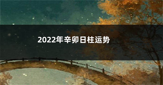 2022年辛卯日柱运势