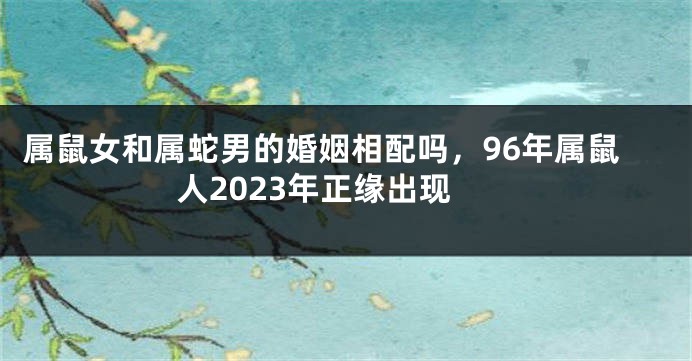 属鼠女和属蛇男的婚姻相配吗，96年属鼠人2023年正缘出现