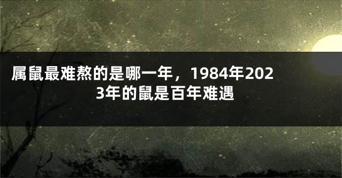 属鼠最难熬的是哪一年，1984年2023年的鼠是百年难遇