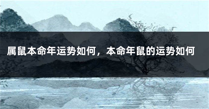 属鼠本命年运势如何，本命年鼠的运势如何