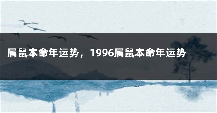 属鼠本命年运势，1996属鼠本命年运势