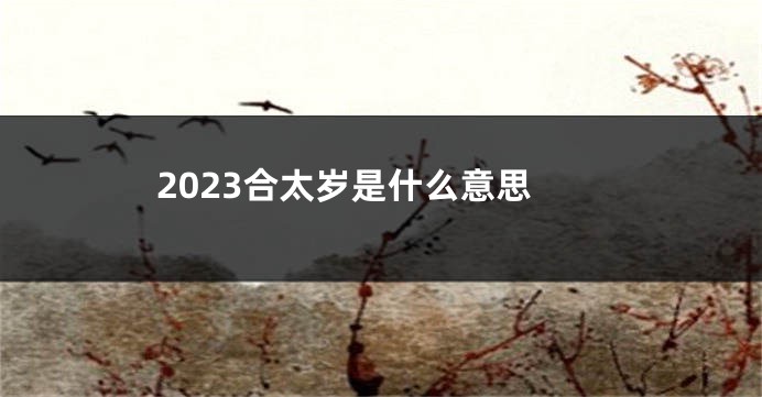 2023合太岁是什么意思