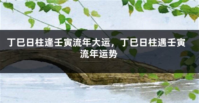 丁巳日柱逢壬寅流年大运，丁巳日柱遇壬寅流年运势