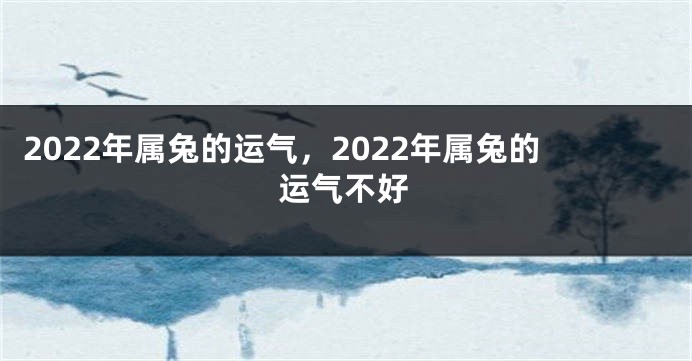 2022年属兔的运气，2022年属兔的运气不好