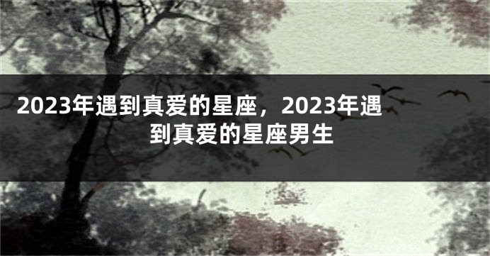 2023年遇到真爱的星座，2023年遇到真爱的星座男生