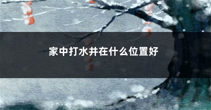 家中打水井在什么位置好