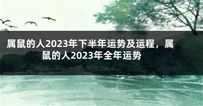 属鼠的人2023年下半年运势及运程，属鼠的人2023年全年运势