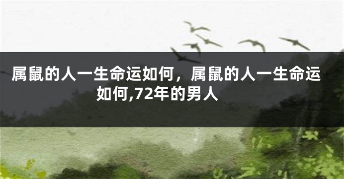 属鼠的人一生命运如何，属鼠的人一生命运如何,72年的男人