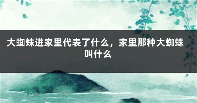 大蜘蛛进家里代表了什么，家里那种大蜘蛛叫什么