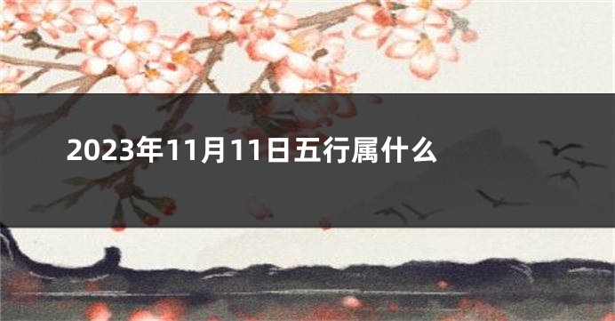 2023年11月11日五行属什么