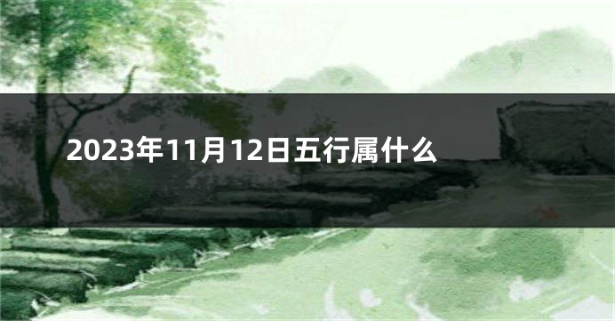 2023年11月12日五行属什么