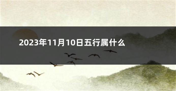 2023年11月10日五行属什么