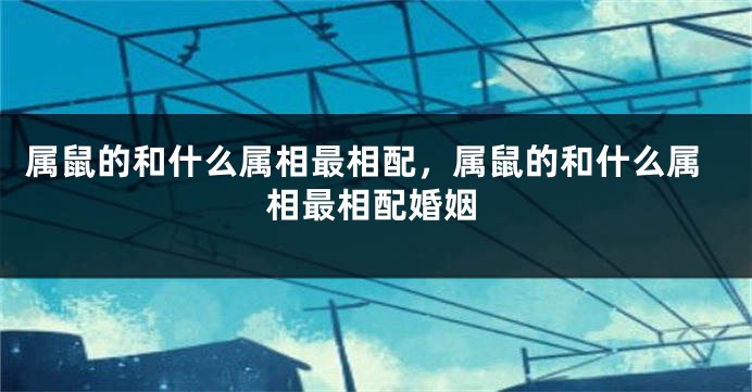 属鼠的和什么属相最相配，属鼠的和什么属相最相配婚姻