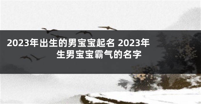 2023年出生的男宝宝起名 2023年生男宝宝霸气的名字