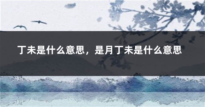 丁未是什么意思，是月丁未是什么意思