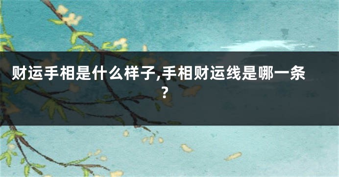 财运手相是什么样子,手相财运线是哪一条?