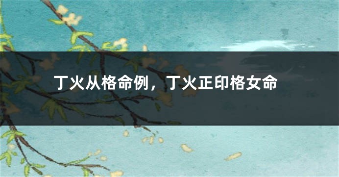 丁火从格命例，丁火正印格女命