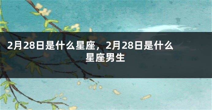 2月28日是什么星座，2月28日是什么星座男生