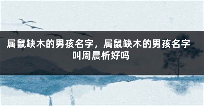 属鼠缺木的男孩名字，属鼠缺木的男孩名字叫周晨析好吗