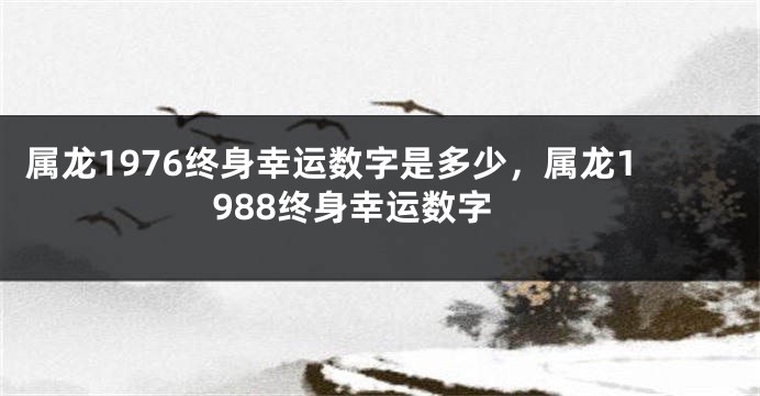 属龙1976终身幸运数字是多少，属龙1988终身幸运数字