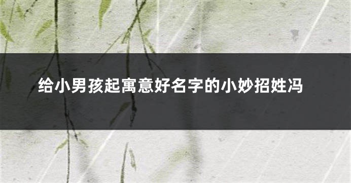 给小男孩起寓意好名字的小妙招姓冯