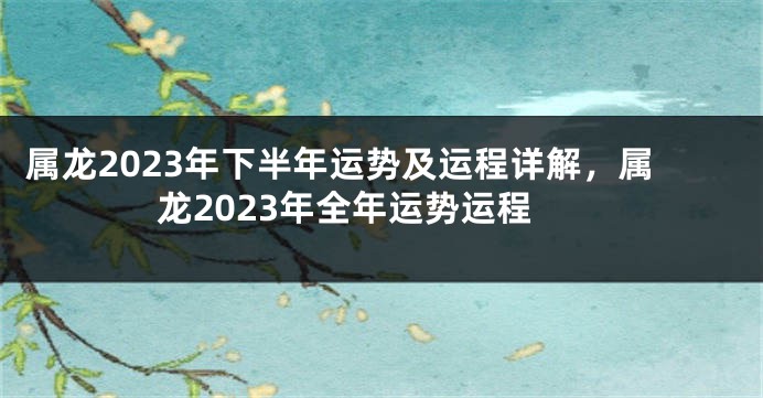 属龙2023年下半年运势及运程详解，属龙2023年全年运势运程