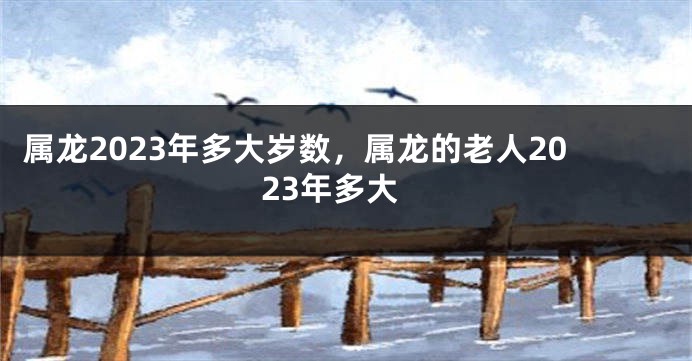 属龙2023年多大岁数，属龙的老人2023年多大