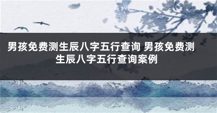 男孩免费测生辰八字五行查询 男孩免费测生辰八字五行查询案例