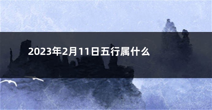 2023年2月11日五行属什么