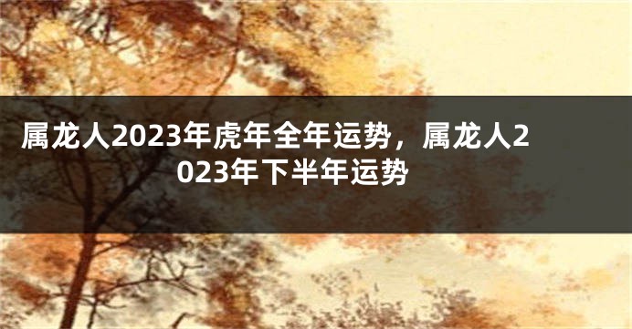 属龙人2023年虎年全年运势，属龙人2023年下半年运势