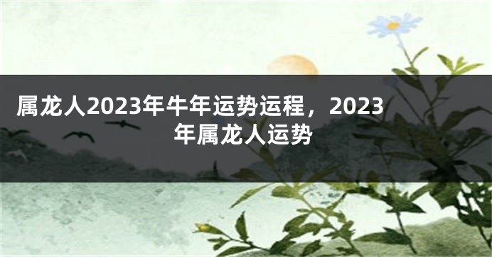 属龙人2023年牛年运势运程，2023年属龙人运势