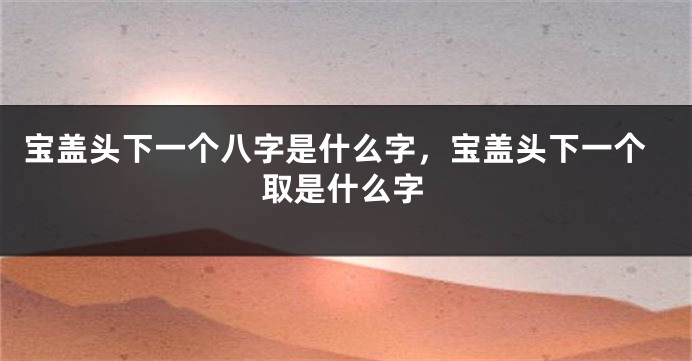 宝盖头下一个八字是什么字，宝盖头下一个取是什么字