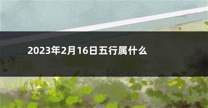 2023年2月16日五行属什么