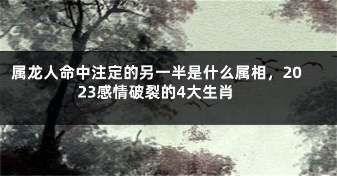 属龙人命中注定的另一半是什么属相，2023感情破裂的4大生肖