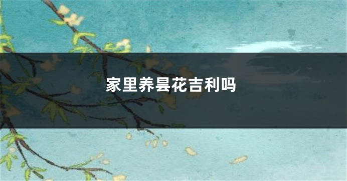 家里养昙花吉利吗